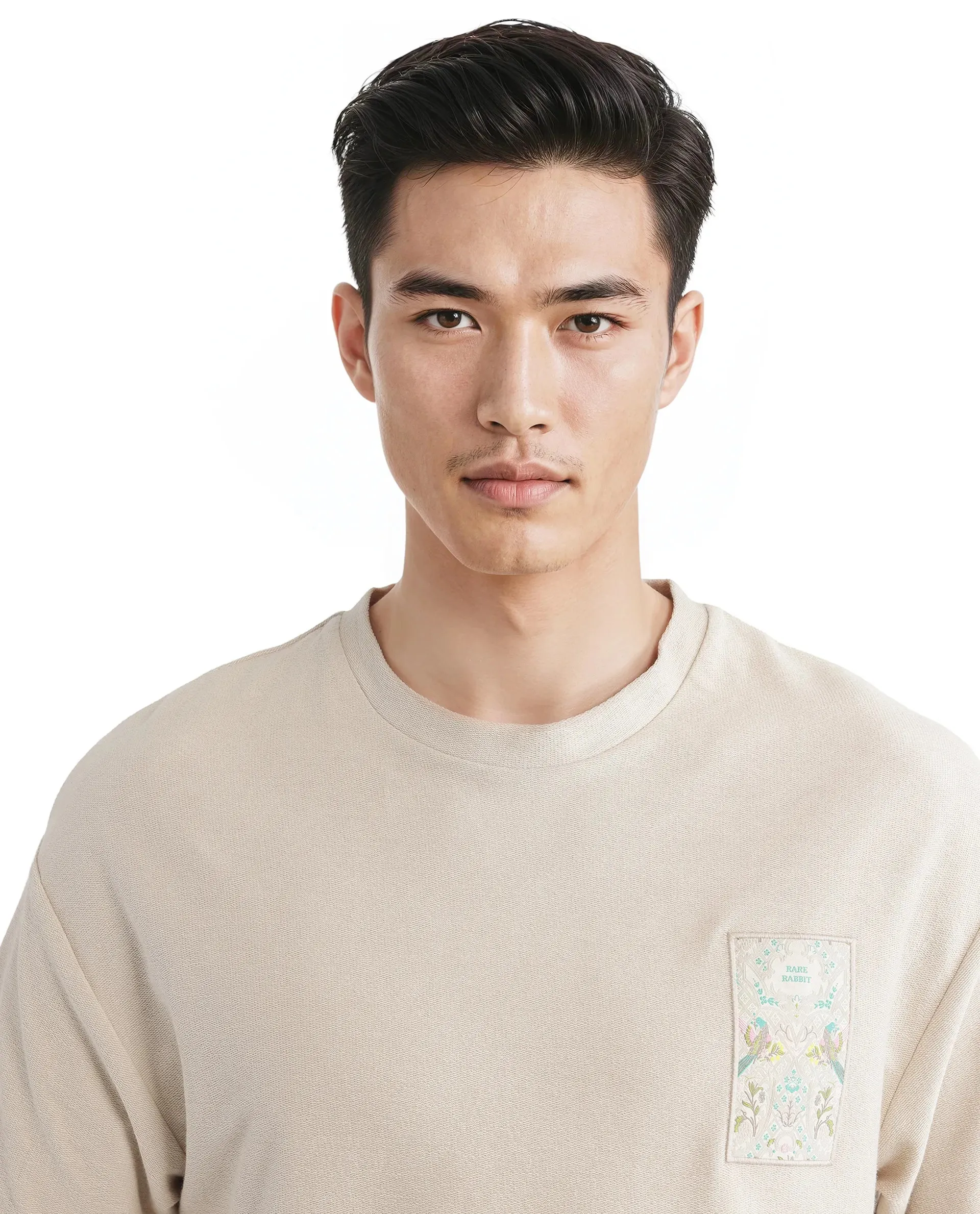 Rare Rabbit Men Oxo Beige Cotton Fabric Short Sleeve Crew Neck Embroidered T-Shirt
